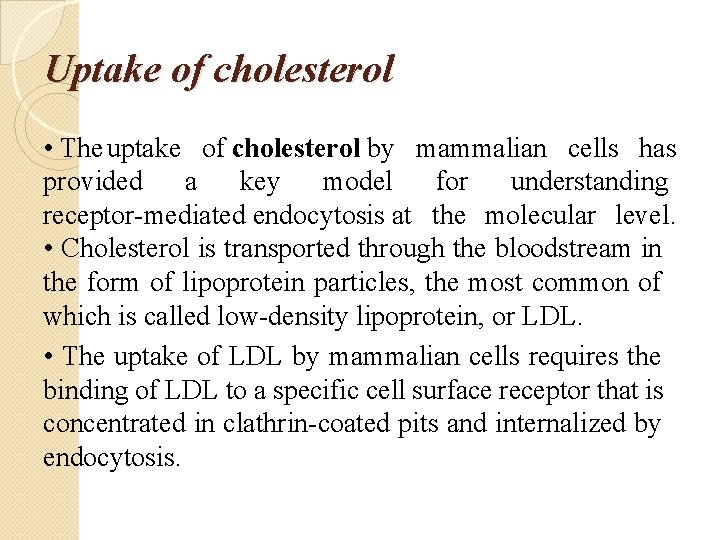 Uptake of cholesterol • The uptake of cholesterol by mammalian cells has provided a