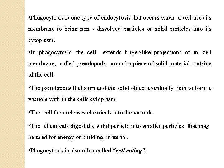  • Phagocytosis is one type of endocytosis that occurs when a cell uses