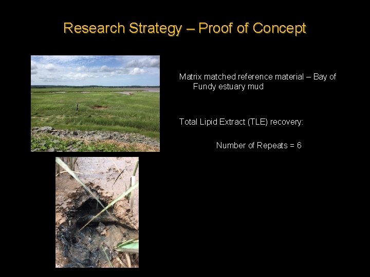 Research Strategy – Proof of Concept Matrix matched reference material – Bay of Fundy