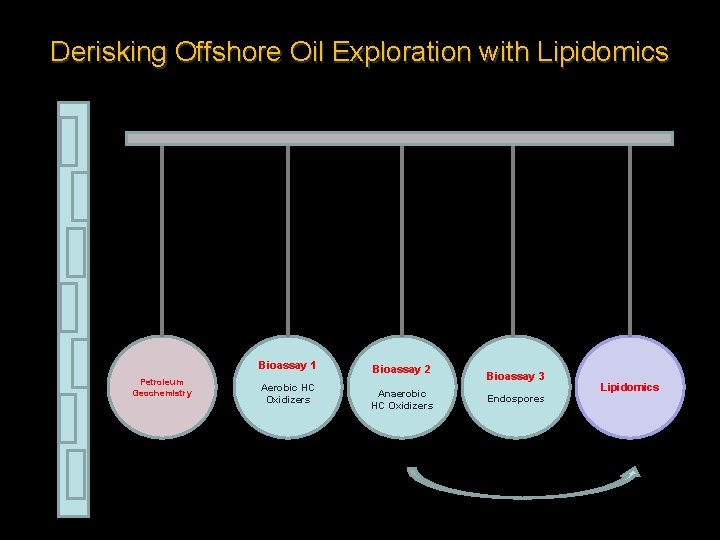 Derisking Offshore Oil Exploration with Lipidomics Bioassay 1 Petroleum Geochemistry Aerobic HC Oxidizers Bioassay