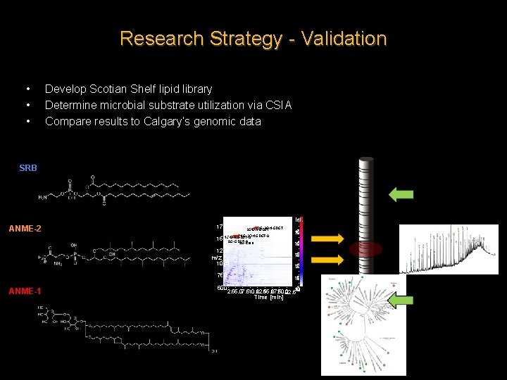Research Strategy - Validation • • • Develop Scotian Shelf lipid library Determine microbial