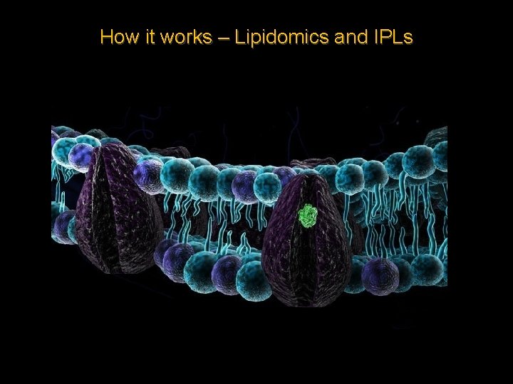 How it works – Lipidomics and IPLs 
