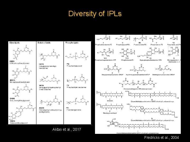 Diversity of IPLs Aktas et al. , 2017 Fredricks et al. , 2004 