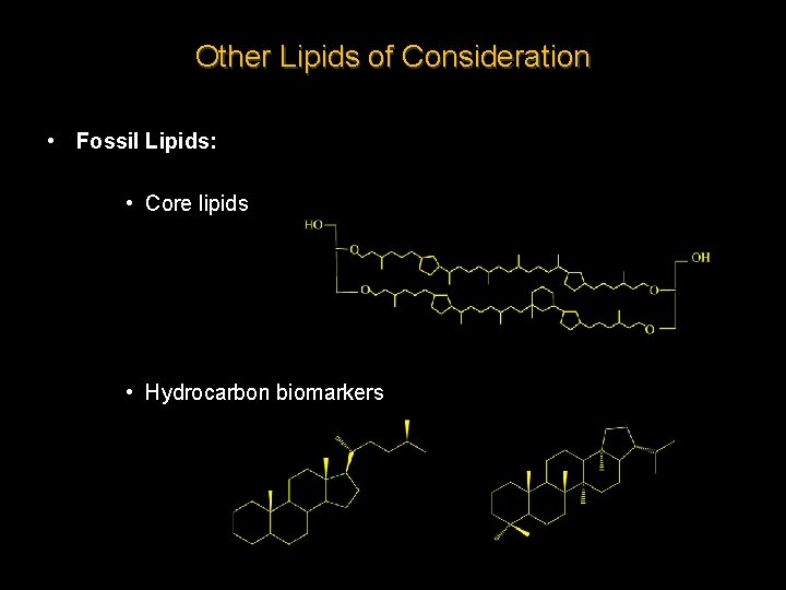Other Lipids of Consideration • Fossil Lipids: • Core lipids • Hydrocarbon biomarkers 