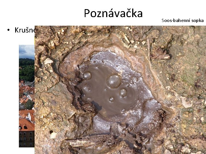 Poznávačka • Krušné hory Český Krumlov Ještěd Kaolín Soos-bahenní sopka 