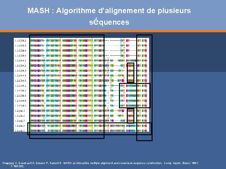 Algorithme pharma etude