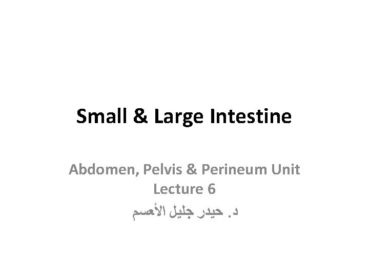 Small & Large Intestine Abdomen, Pelvis & Perineum Unit Lecture 6 ﺣﻴﺪﺭ ﺟﻠﻴﻞ ﺍﻷﻌﺴﻢ.