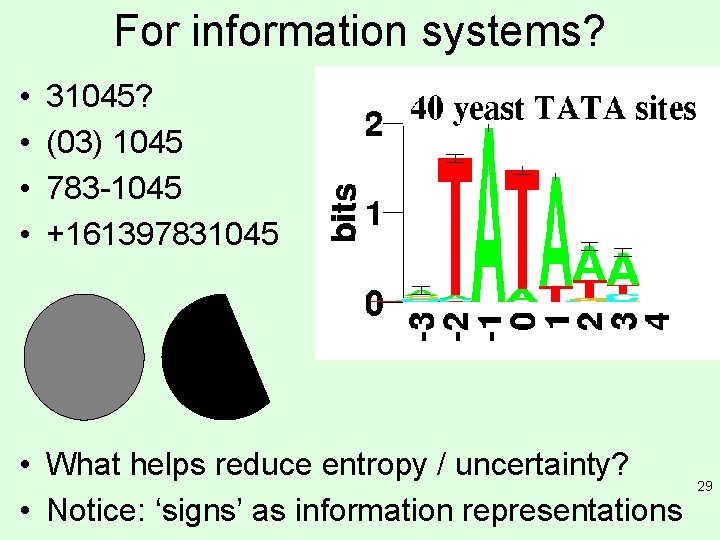 For information systems? • • 31045? (03) 1045 783 -1045 +161397831045 • What helps For information systems? • • 31045? (03) 1045 783 -1045 +161397831045 • What helps