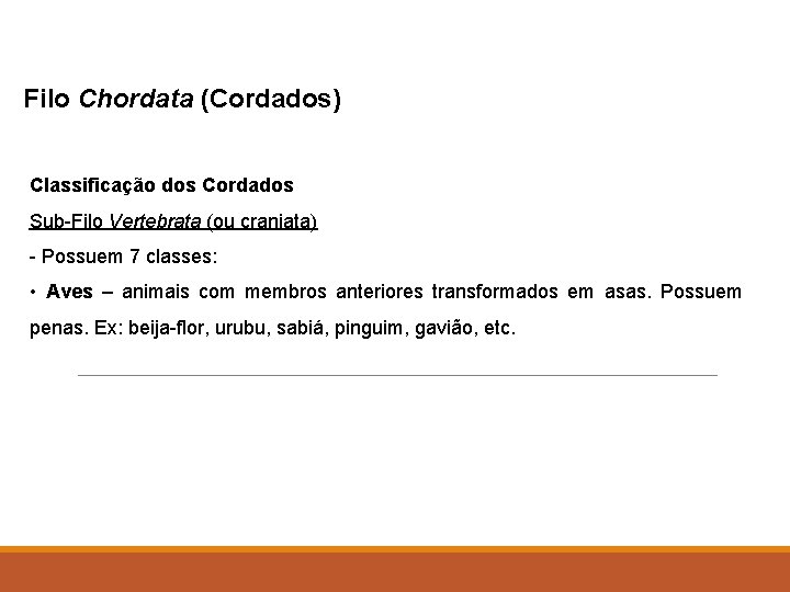 Filo Chordata (Cordados) Classificação dos Cordados Sub-Filo Vertebrata (ou craniata) - Possuem 7 classes: