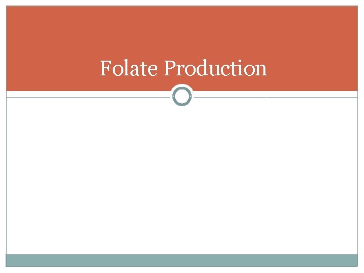 Folate Production 