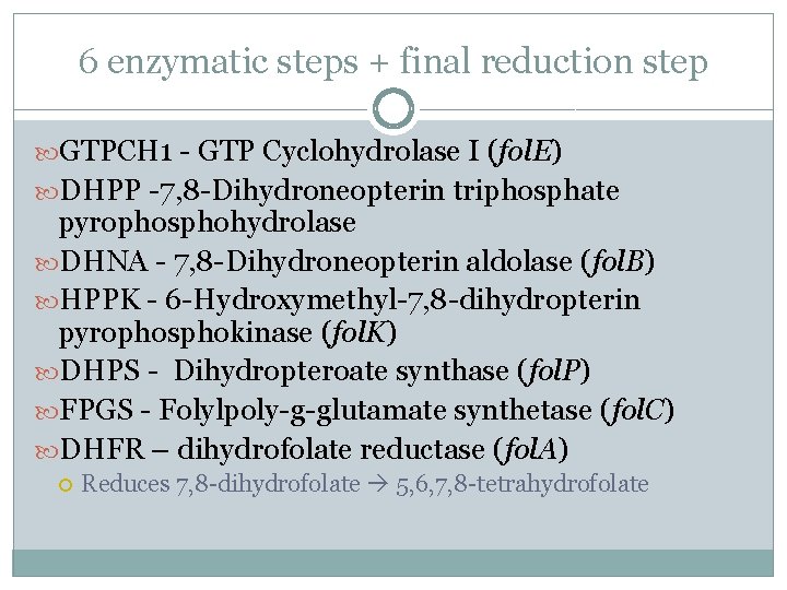 6 enzymatic steps + final reduction step GTPCH 1 - GTP Cyclohydrolase I (fol.