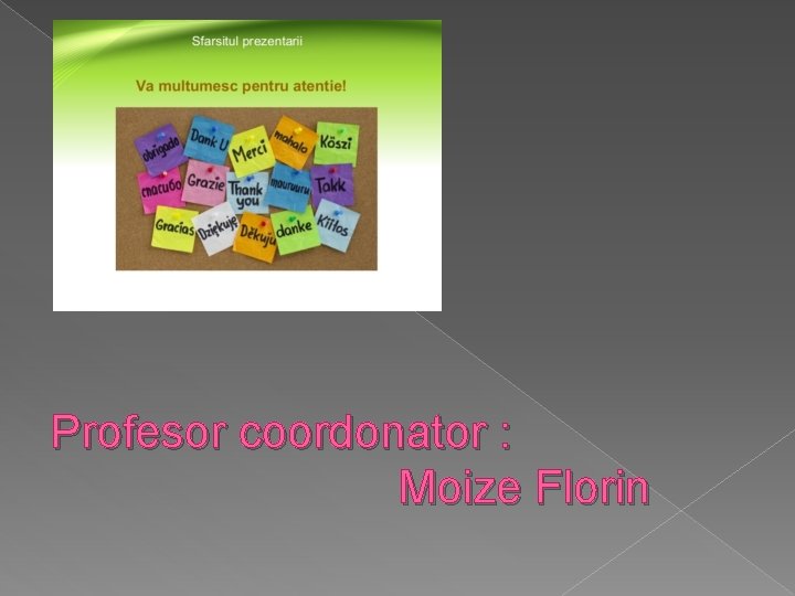 Profesor coordonator : Moize Florin Profesor coordonator : Moize Florin