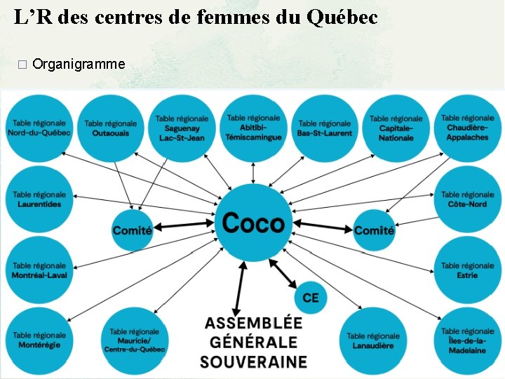 L’R des centres de femmes du Québec � Organigramme 5 