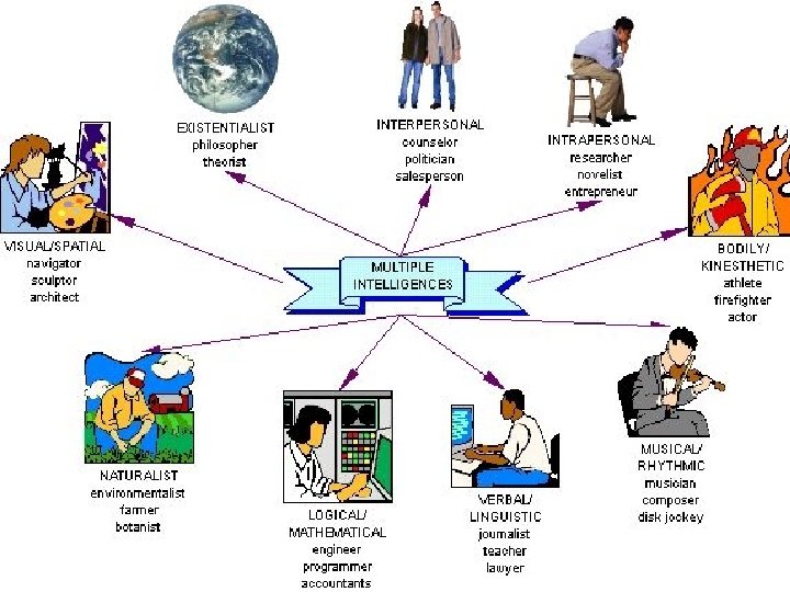 Howard Gardner’s Multiple Intelligence Theory: • Each intelligence has its neurological base in a