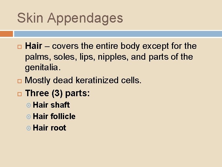 Skin Appendages Hair – covers the entire body except for the palms, soles, lips,