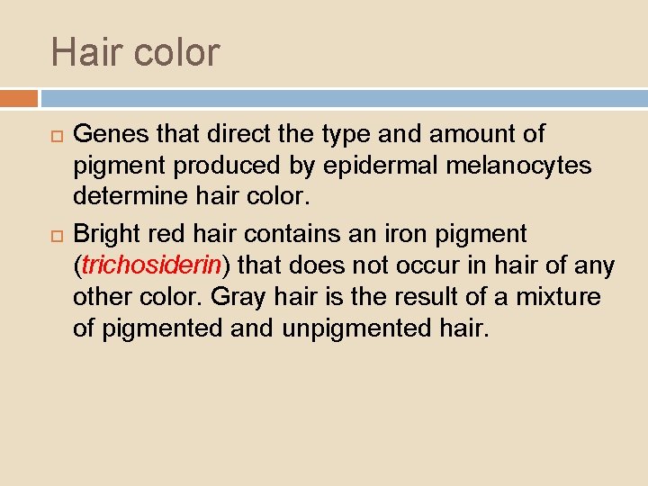 Hair color Genes that direct the type and amount of pigment produced by epidermal