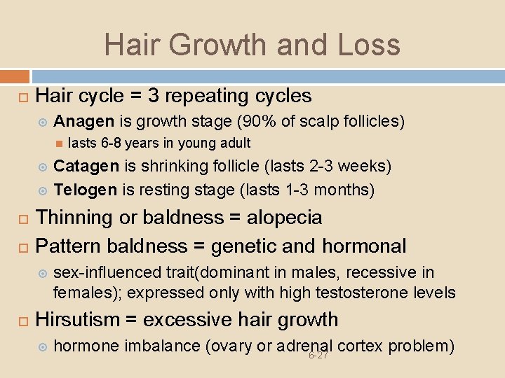 Hair Growth and Loss Hair cycle = 3 repeating cycles Anagen is growth stage