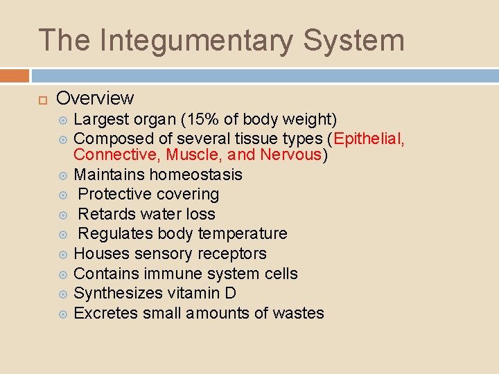 The Integumentary System Overview Largest organ (15% of body weight) Composed of several tissue