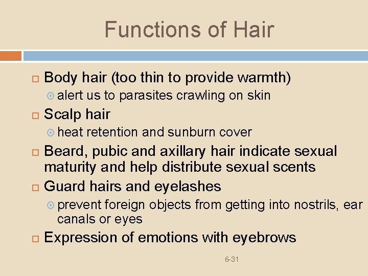 Functions of Hair Body hair (too thin to provide warmth) alert Scalp hair heat