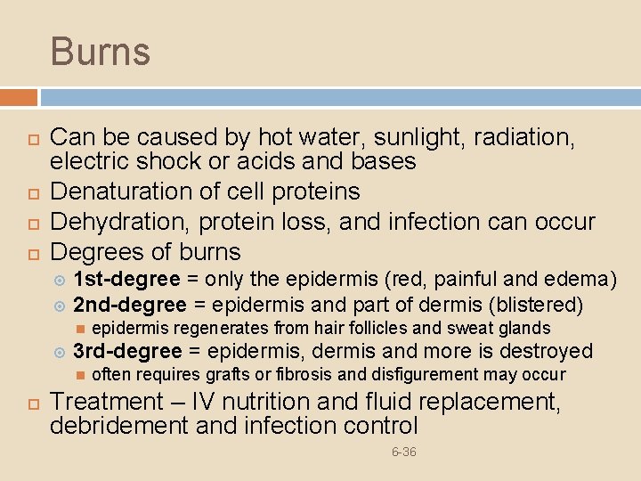 Burns Can be caused by hot water, sunlight, radiation, electric shock or acids and