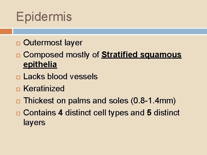 Epidermis Outermost layer Composed mostly of Stratified squamous epithelia Lacks blood vessels Keratinized Thickest