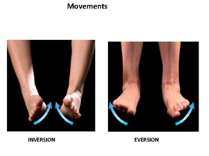 Movements INVERSION EVERSION 