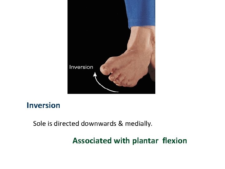 Inversion Sole is directed downwards & medially. Associated with plantar flexion 