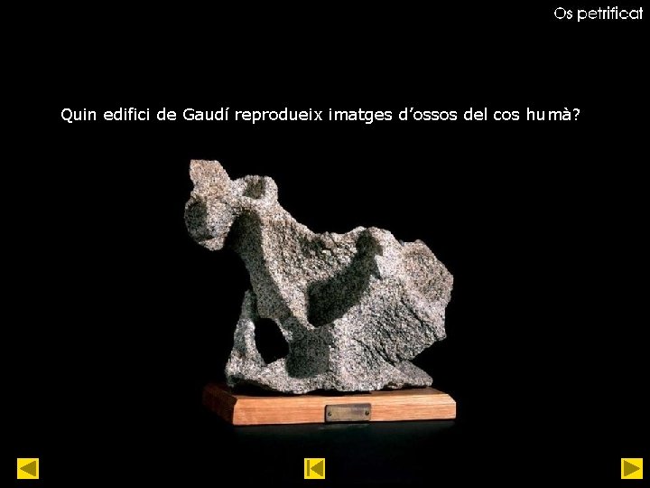 Quin edifici de Gaudí reprodueix imatges d’ossos del cos humà? 