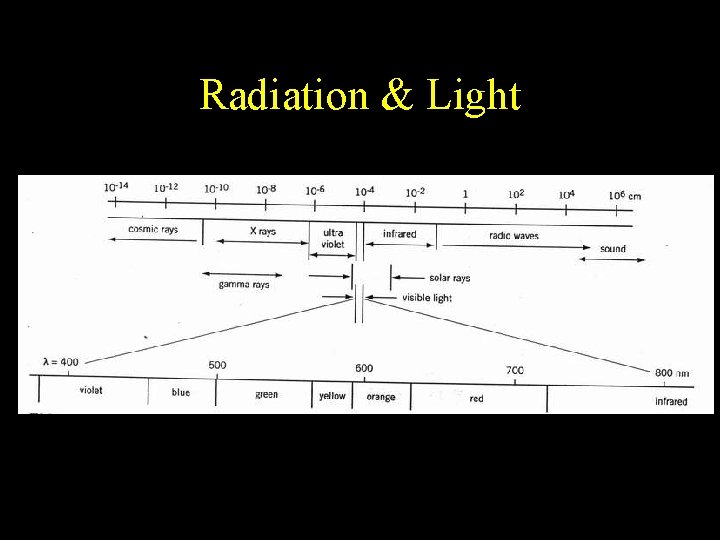 Radiation & Light 