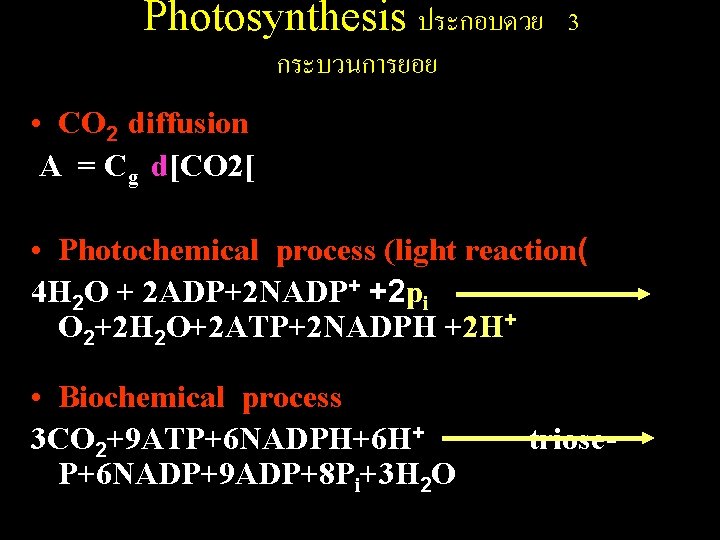 Photosynthesis ประกอบดวย 3 กระบวนการยอย • CO 2 diffusion A = Cg d[CO 2[ •