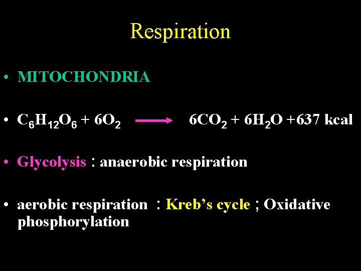 Respiration • MITOCHONDRIA • C 6 H 12 O 6 + 6 O 2