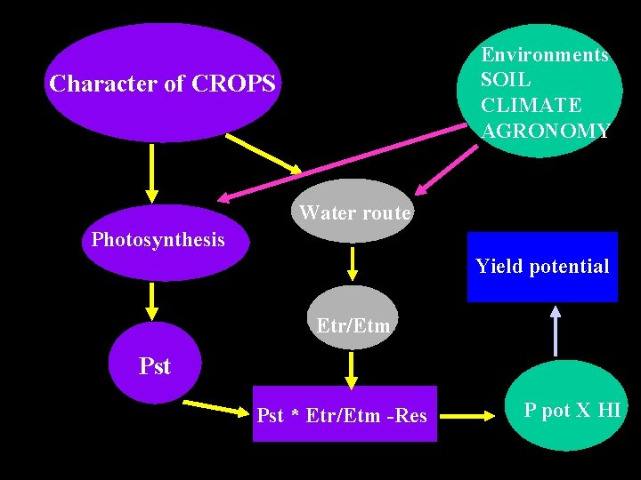 Environments SOIL CLIMATE AGRONOMY Character of CROPS Water route Photosynthesis Yield potential Etr/Etm Pst