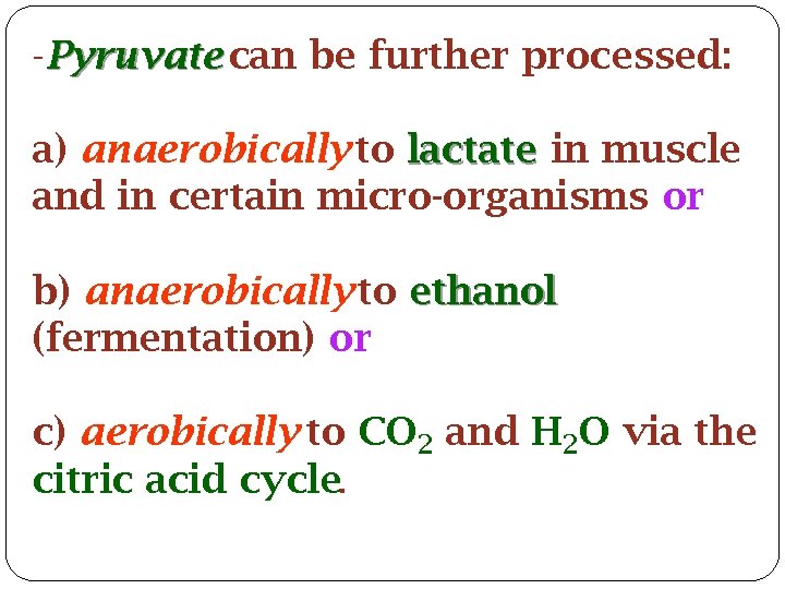 -Pyruvate can be further processed: a) anaerobically to lactate in muscle and in certain