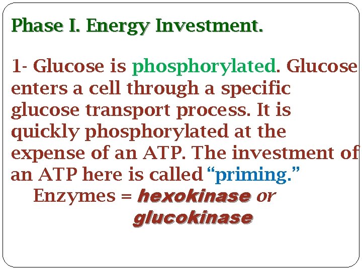 Phase I. Energy Investment. 1 - Glucose is phosphorylated. Glucose enters a cell through