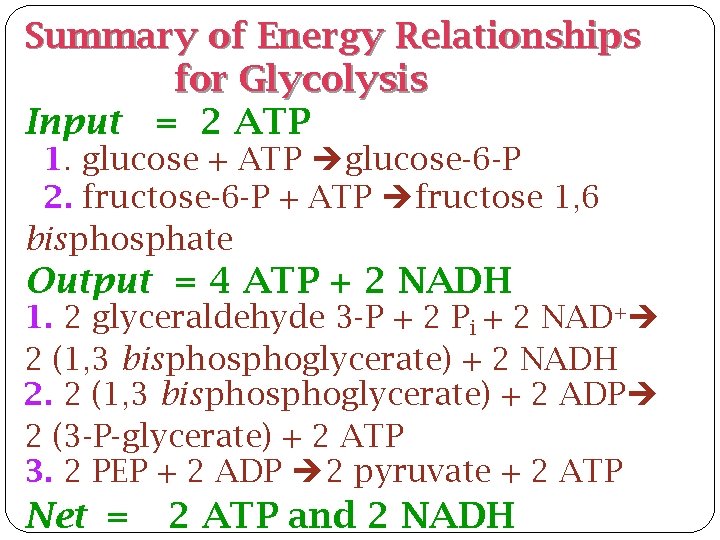 Summary of Energy Relationships for Glycolysis Input = 2 ATP 1. glucose + ATP