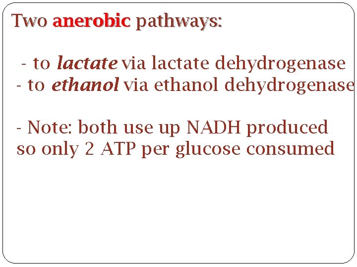 Two anerobic pathways: - to lactate via lactate dehydrogenase - to ethanol via ethanol