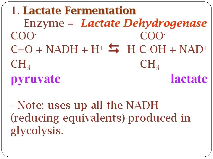 1. Lactate Fermentation Enzyme = Lactate Dehydrogenase COOCOOC=O + NADH + H+ H-C-OH +