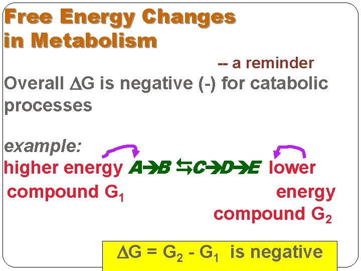 Free Energy Changes in Metabolism -- a reminder Overall G is negative (-) for