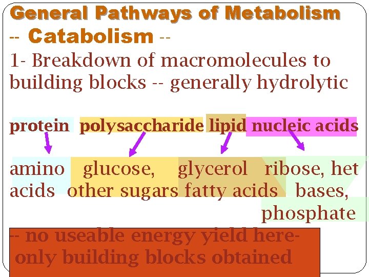 General Pathways of Metabolism -- Catabolism -1 - Breakdown of macromolecules to building blocks