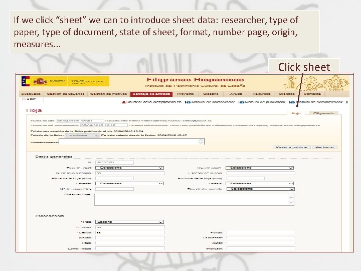 If we click “sheet” we can to introduce sheet data: researcher, type of paper,