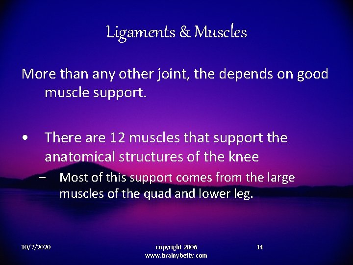 Ligaments & Muscles More than any other joint, the depends on good muscle support.