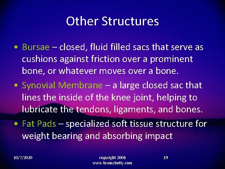 Other Structures • Bursae – closed, fluid filled sacs that serve as cushions against