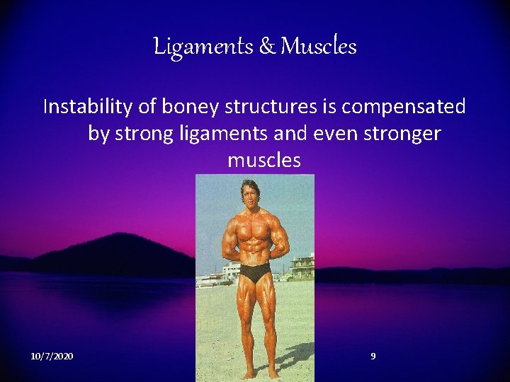 Ligaments & Muscles Instability of boney structures is compensated by strong ligaments and even