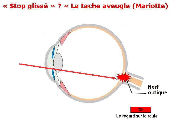 « Stop glissé » ? « La tache aveugle (Mariotte) Le regard sur « Stop glissé » ? « La tache aveugle (Mariotte) Le regard sur