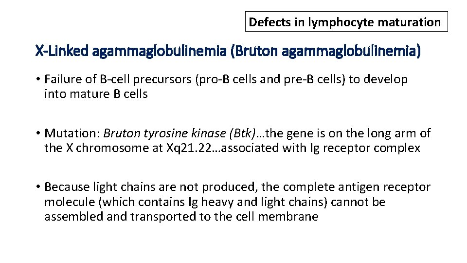 Defects in lymphocyte maturation X-Linked agammaglobulinemia (Bruton agammaglobulinemia) • Failure of B-cell precursors (pro-B
