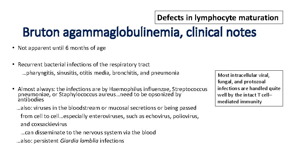 Defects in lymphocyte maturation Bruton agammaglobulinemia, clinical notes • Not apparent until 6 months