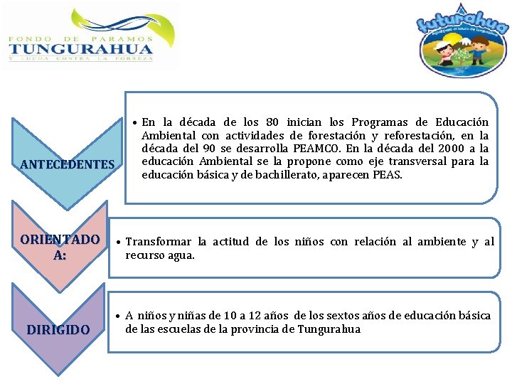 ANTECEDENTES • En la década de los 80 inician los Programas de Educación Ambiental