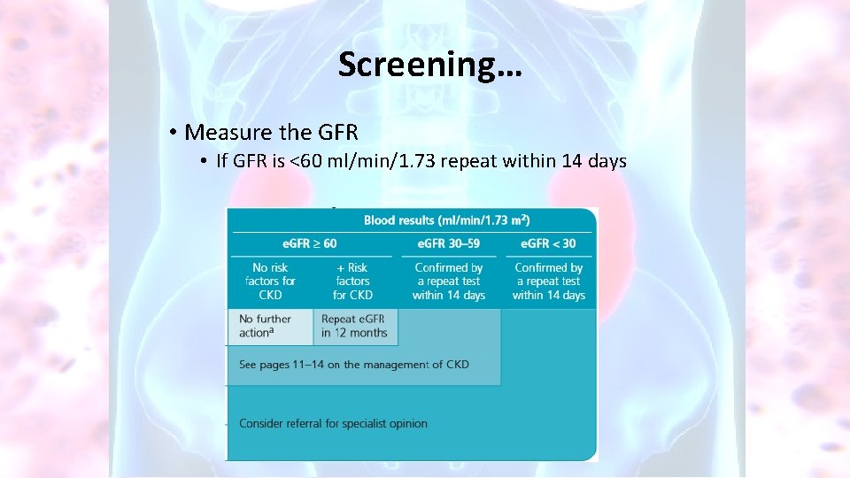 Screening… • Measure the GFR • If GFR is <60 ml/min/1. 73 repeat within