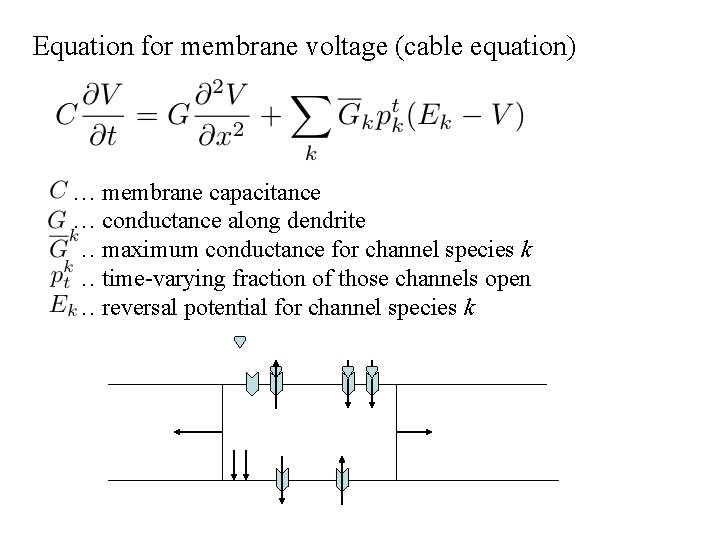 Equation for membrane voltage (cable equation) … membrane capacitance … conductance along dendrite …