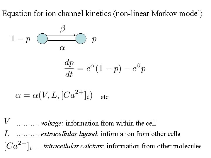 Equation for ion channel kinetics (non-linear Markov model) etc ………. voltage: information from within